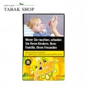 Holster Shisha-Tabak, viele Sorten wählbar! (1x 25g)
