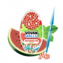 VovanBalls Probierset 1200 Aromakugeln
