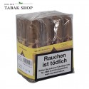Principes Short Robusto Zigarren (1x 12)